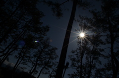 空と木と太陽６