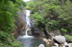 初夏の仙娥滝