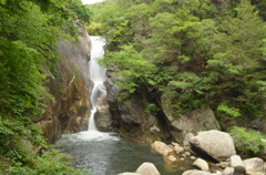 初夏の仙娥滝