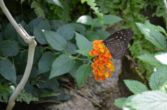 DSC_0911_1889