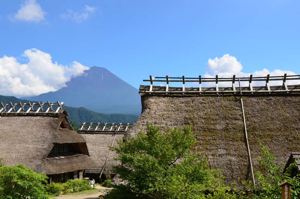 根場の夏２０１４