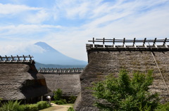 根場の夏
