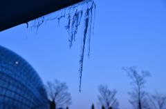 氷