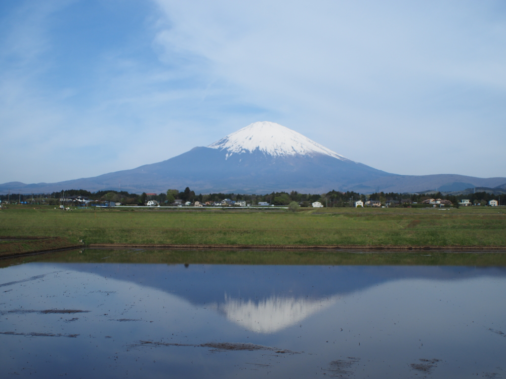 水田の逆さ富士