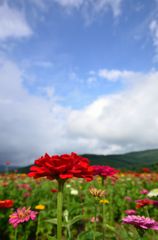 雲の切れ間に