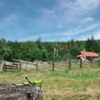 IMG4736