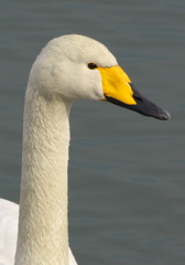 IMGP5628