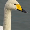 IMGP5628