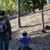公園の人気者