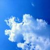 青夏