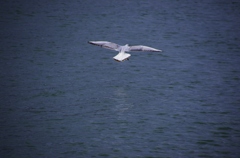 landing!!