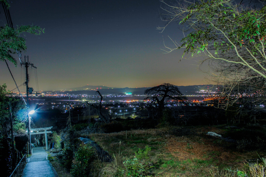 夜景