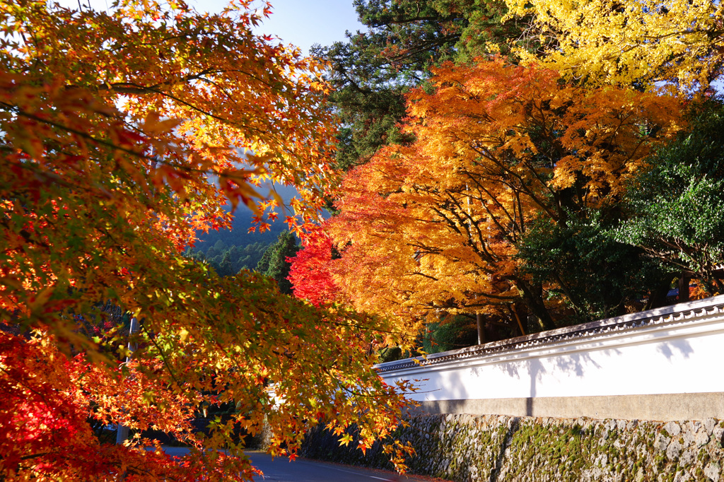 雷山千如寺大悲王院２