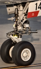 無機質なミトコンドリア