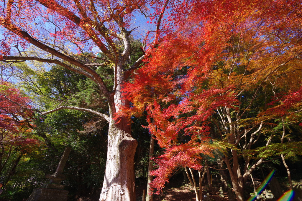 富貴なる寺３