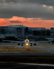 イメージ以上に大きな翼