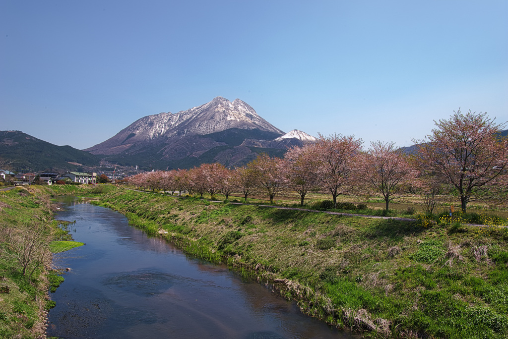 由布岳の春はこれから