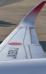 地震、山火事、詐欺、黄砂