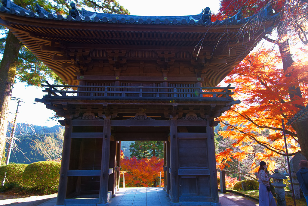 雷山千如寺大悲王院４