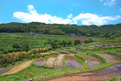 美しき棚田（大分市）