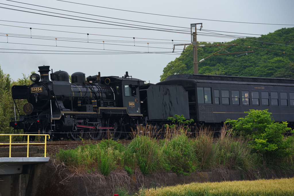 まだ白黒の時代だった