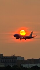 鰻とイワシが豊漁だって！