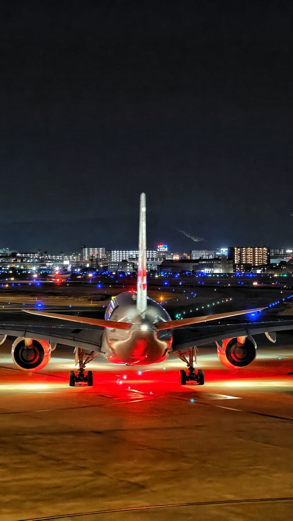 渡り鳥の先頭は”交代制”