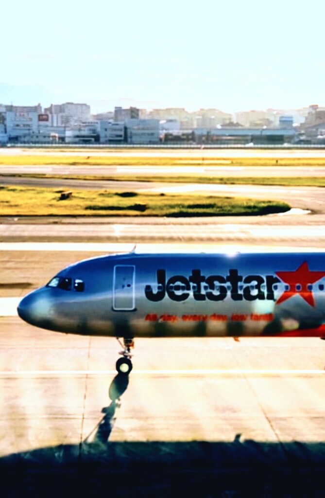 長い夏とかけ足の秋