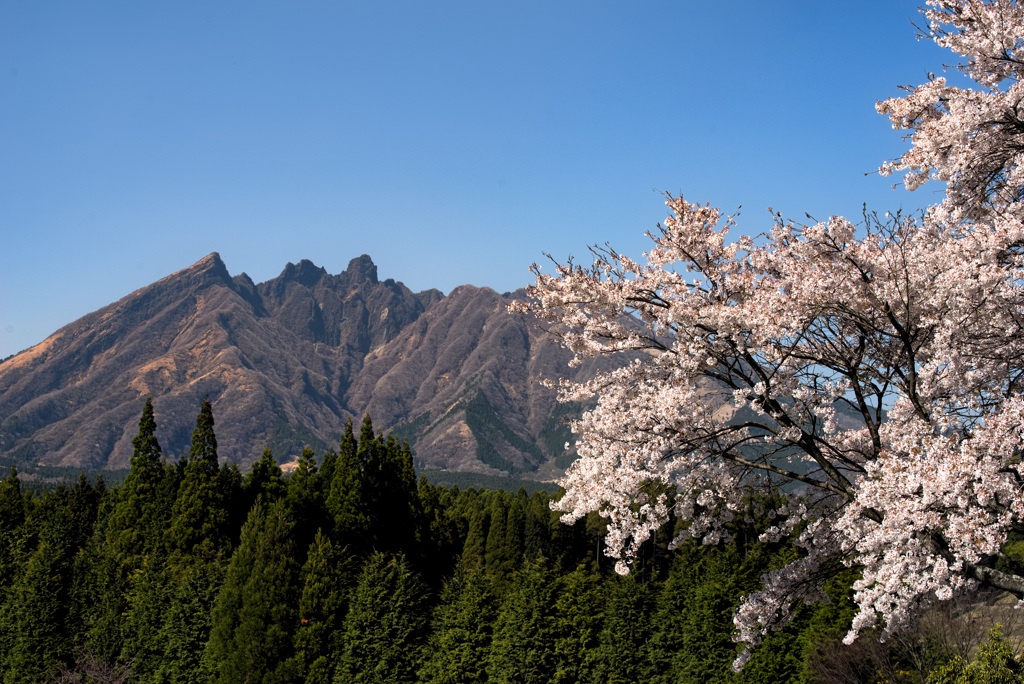 根子岳（阿蘇）春景