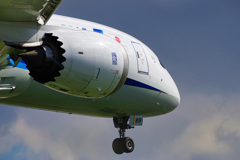 雲上の貴公子７８７（3）
