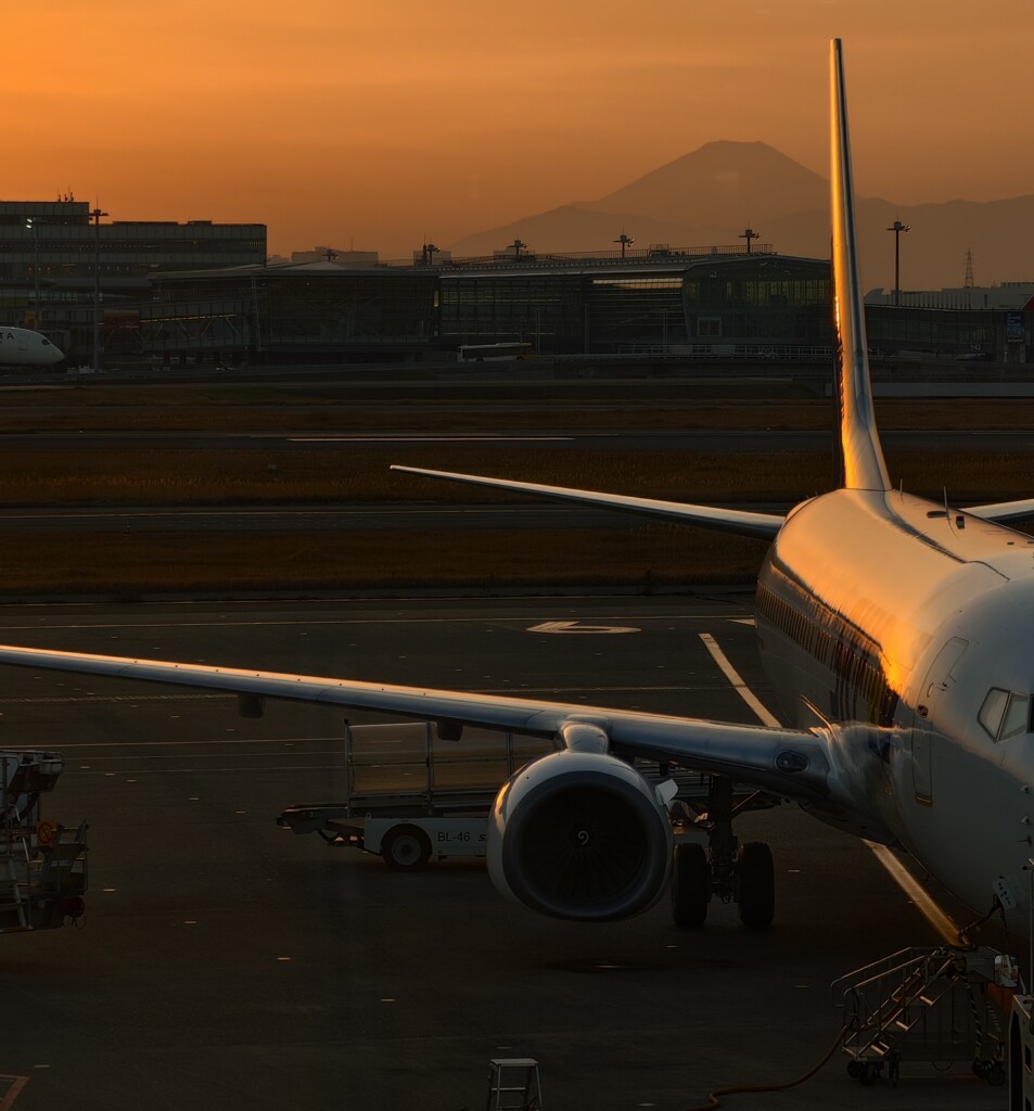 小春日和の閑々