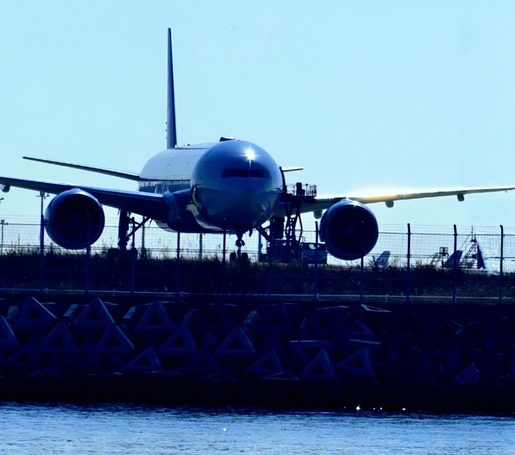 銀翼が眩しかった