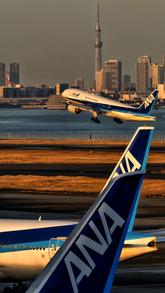 今年の東京23区の新成人は6人に１人が外国人