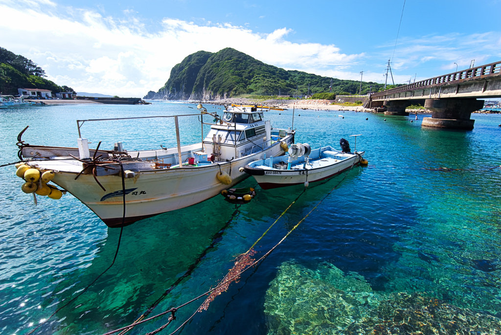 柏島〜藍より青い海〜