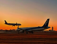 知らなかった！日本以外でもウナギが！