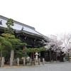【一日一桜】本法寺のソメイヨシノ～西陣の日蓮六山サクラめぐり～