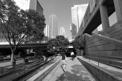 西新宿