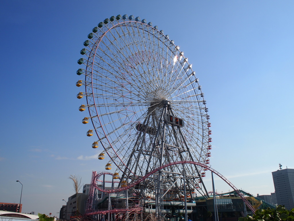 秋日を浴びる