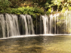 清涼な場所