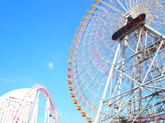 秋空に映える