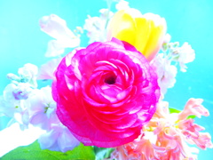 部屋花　４