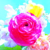 部屋花　４