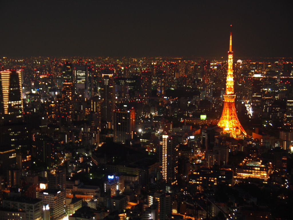夜の光