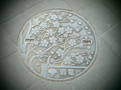 P1127258