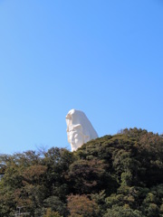 にょき