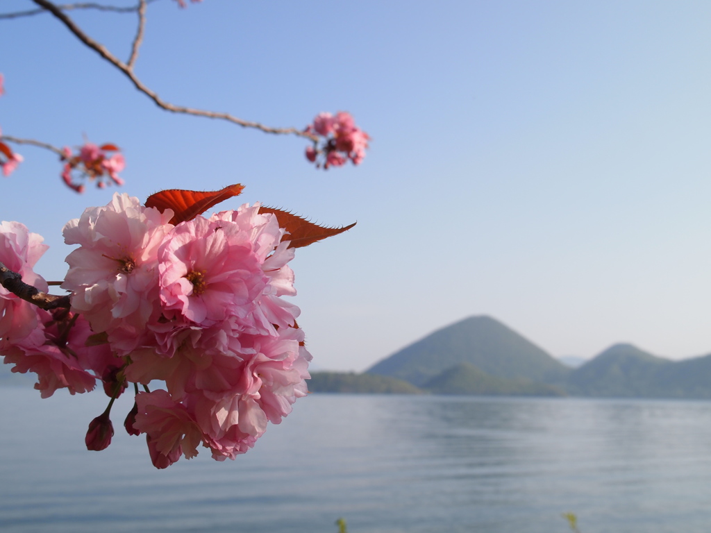 山を見る