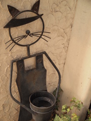 港町のおしゃれネコ