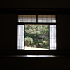 静謐　三渓園にて
