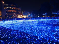 光の海原　３