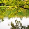 秋始めのスワンレイク　２